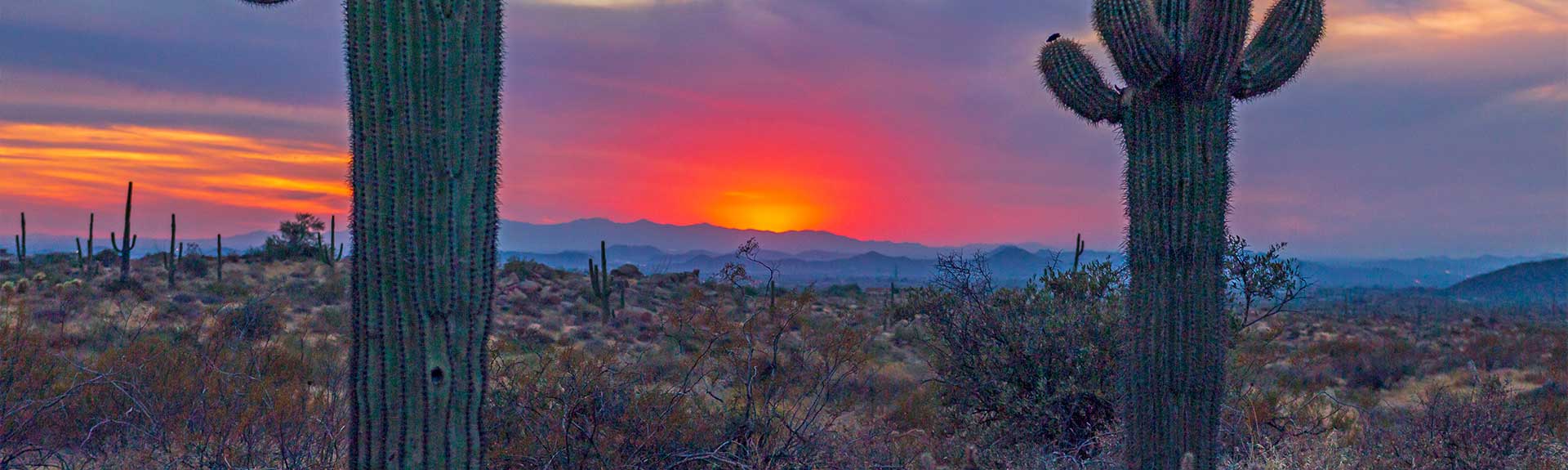 Our Story | Arizona Sunset