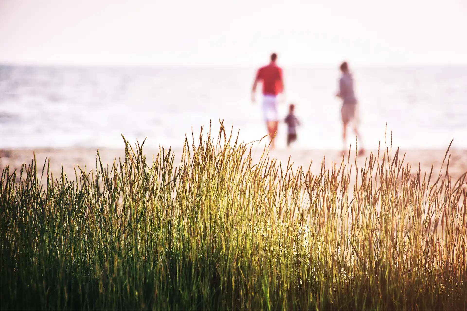 Start your remodel planning, then hit the beach. We'll take care of the rest.